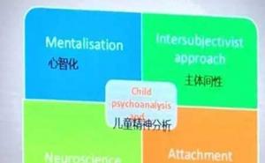 发展观点下对于共情能力的一些思考