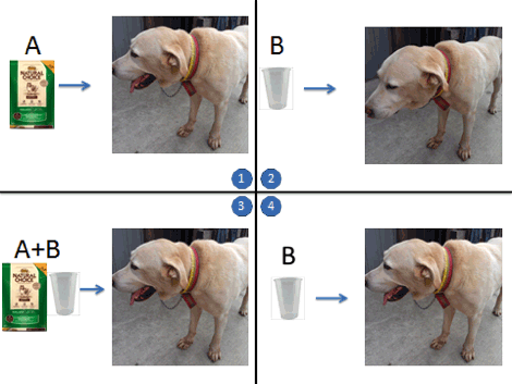 经验与习得行为 - 内蒙古心理网