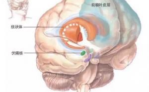 接受自己是实现新年愿望的关键
