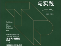 精力阐发治疗理论的转变